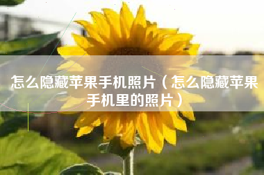 怎么隐藏苹果手机照片（怎么隐藏苹果手机里的照片）
