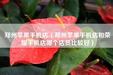 郑州苹果手机店（郑州苹果手机店和荣耀手机店哪个店员比较好）