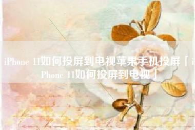 iPhone 11如何投屏到电视苹果手机投屏「iPhone 11如何投屏到电视」