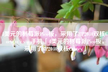 4美元的树莓派Pico板，采用了RP2040双核Cortexv i v o 手机「4美元的树莓派Pico板，采用了RP2040双核Cortex」