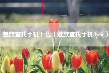 魅族查找手机下载（魅族查找手机flyme）