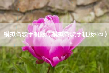 模拟驾驶手机版（模拟驾驶手机版2023）