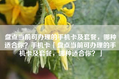 盘点当前可办理的手机卡及套餐，哪种适合你？手机卡「盘点当前可办理的手机卡及套餐，哪种适合你？」