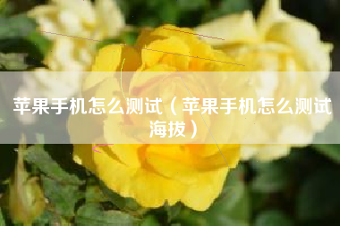 苹果手机怎么测试（苹果手机怎么测试海拔）