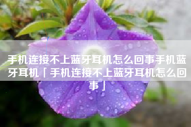 手机连接不上蓝牙耳机怎么回事手机蓝牙耳机「手机连接不上蓝牙耳机怎么回事」
