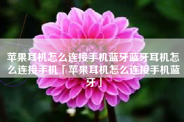 苹果耳机怎么连接手机蓝牙蓝牙耳机怎么连接手机「苹果耳机怎么连接手机蓝牙」