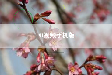 91视频手机版