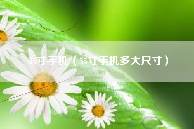 55寸手机（55寸手机多大尺寸）