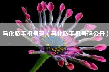 马化腾手机号码（马化腾手机号码公开）