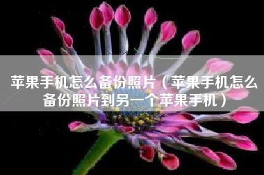 苹果手机怎么备份照片（苹果手机怎么备份照片到另一个苹果手机）