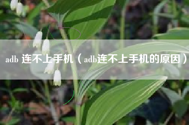 adb 连不上手机（adb连不上手机的原因）