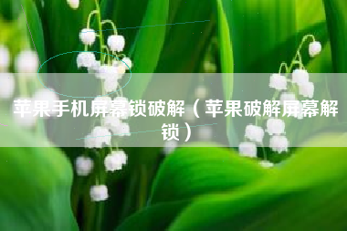 苹果手机屏幕锁破解（苹果破解屏幕解锁）