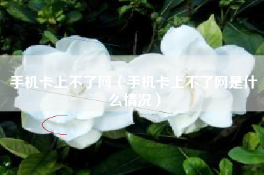 手机卡上不了网（手机卡上不了网是什么情况）