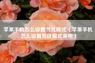 苹果手机怎么设置勿扰模式（苹果手机怎么设置勿扰模式来电）