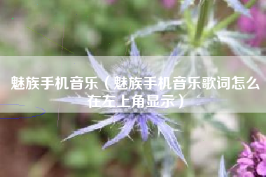 魅族手机音乐（魅族手机音乐歌词怎么在左上角显示）