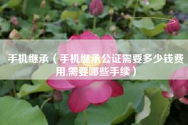 手机继承（手机继承公证需要多少钱费用,需要哪些手续）