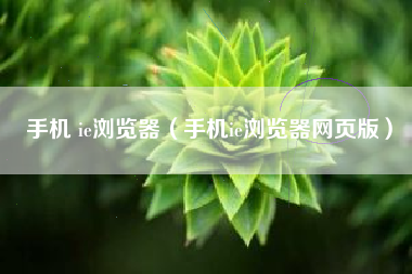手机 ie浏览器（手机ie浏览器网页版）