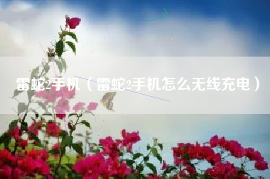雷蛇2手机（雷蛇2手机怎么无线充电）