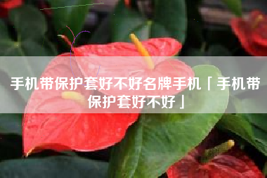 手机带保护套好不好名牌手机「手机带保护套好不好」