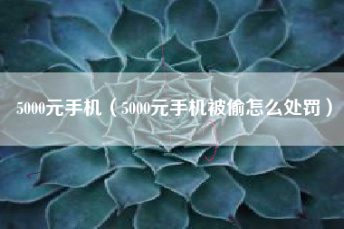 5000元手机（5000元手机被偷怎么处罚）