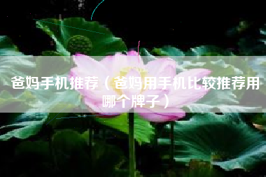 爸妈手机推荐（爸妈用手机比较推荐用哪个牌子）