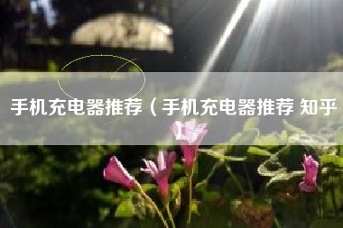 手机充电器推荐（手机充电器推荐 知乎）