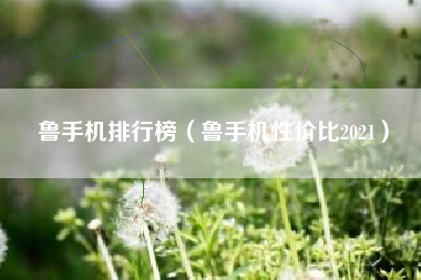 鲁手机排行榜（鲁手机性价比2021）