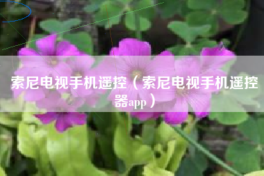 索尼电视手机遥控（索尼电视手机遥控器app）