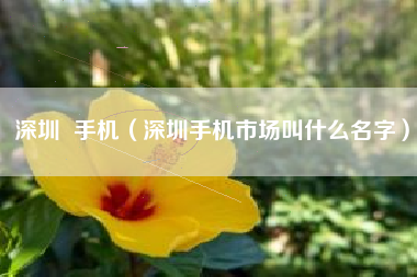 深圳  手机（深圳手机市场叫什么名字）