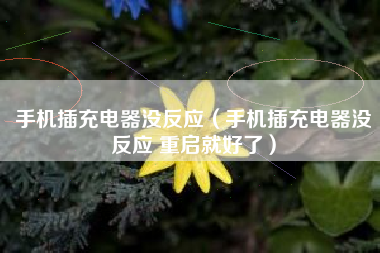 手机插充电器没反应（手机插充电器没反应 重启就好了）