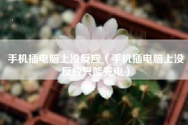 手机插电脑上没反应（手机插电脑上没反应只能充电）