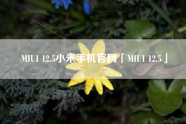 MIUI 12.5小米手机官网「MIUI 12.5」