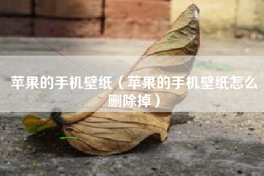 苹果的手机壁纸（苹果的手机壁纸怎么删除掉）