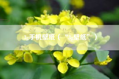 3g手机壁纸（“3g壁纸”）