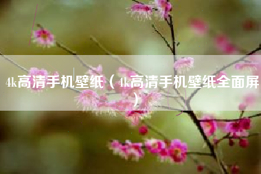 4k高清手机壁纸（4k高清手机壁纸全面屏）