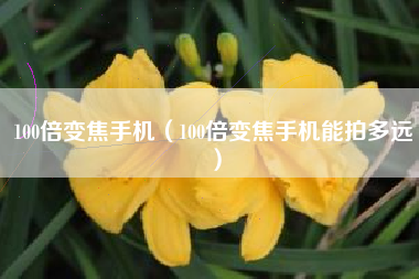 100倍变焦手机（100倍变焦手机能拍多远）