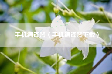 手机编译器（手机编译器下载）