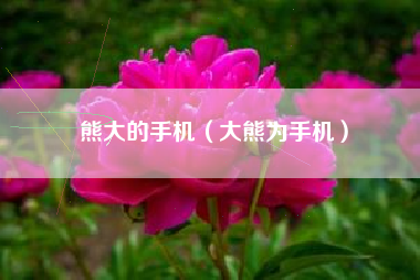熊大的手机（大熊为手机）