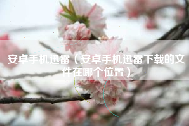 安卓手机迅雷（安卓手机迅雷下载的文件在哪个位置）