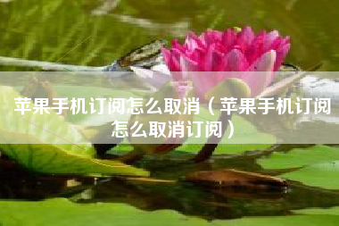 苹果手机订阅怎么取消（苹果手机订阅怎么取消订阅）