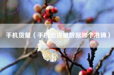 手机货量（手机出货量数据哪个准确）
