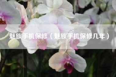 魅族手机保修（魅族手机保修几年）
