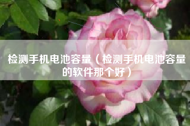 检测手机电池容量（检测手机电池容量的软件那个好）