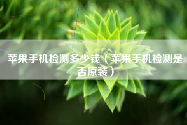 苹果手机检测多少钱（苹果手机检测是否原装）