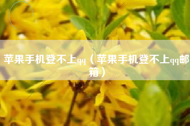 苹果手机登不上qq（苹果手机登不上qq邮箱）