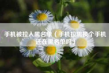 手机被拉入黑名单（手机拉黑换个手机还在黑名单吗）