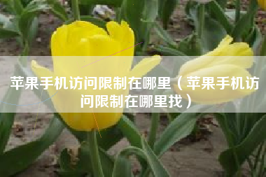苹果手机访问限制在哪里（苹果手机访问限制在哪里找）