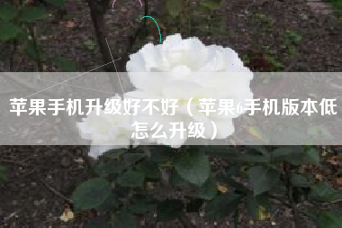 苹果手机升级好不好（苹果6手机版本低怎么升级）