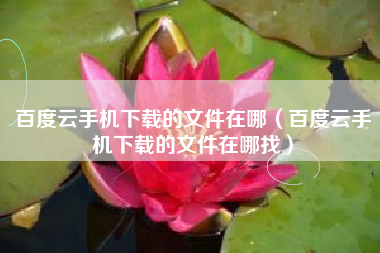 百度云手机下载的文件在哪（百度云手机下载的文件在哪找）
