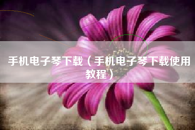 手机电子琴下载（手机电子琴下载使用教程）